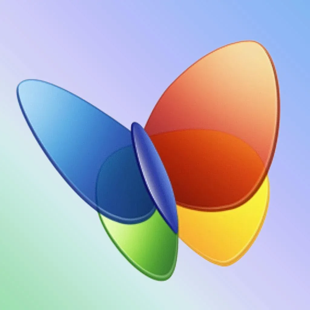 MSN Digital